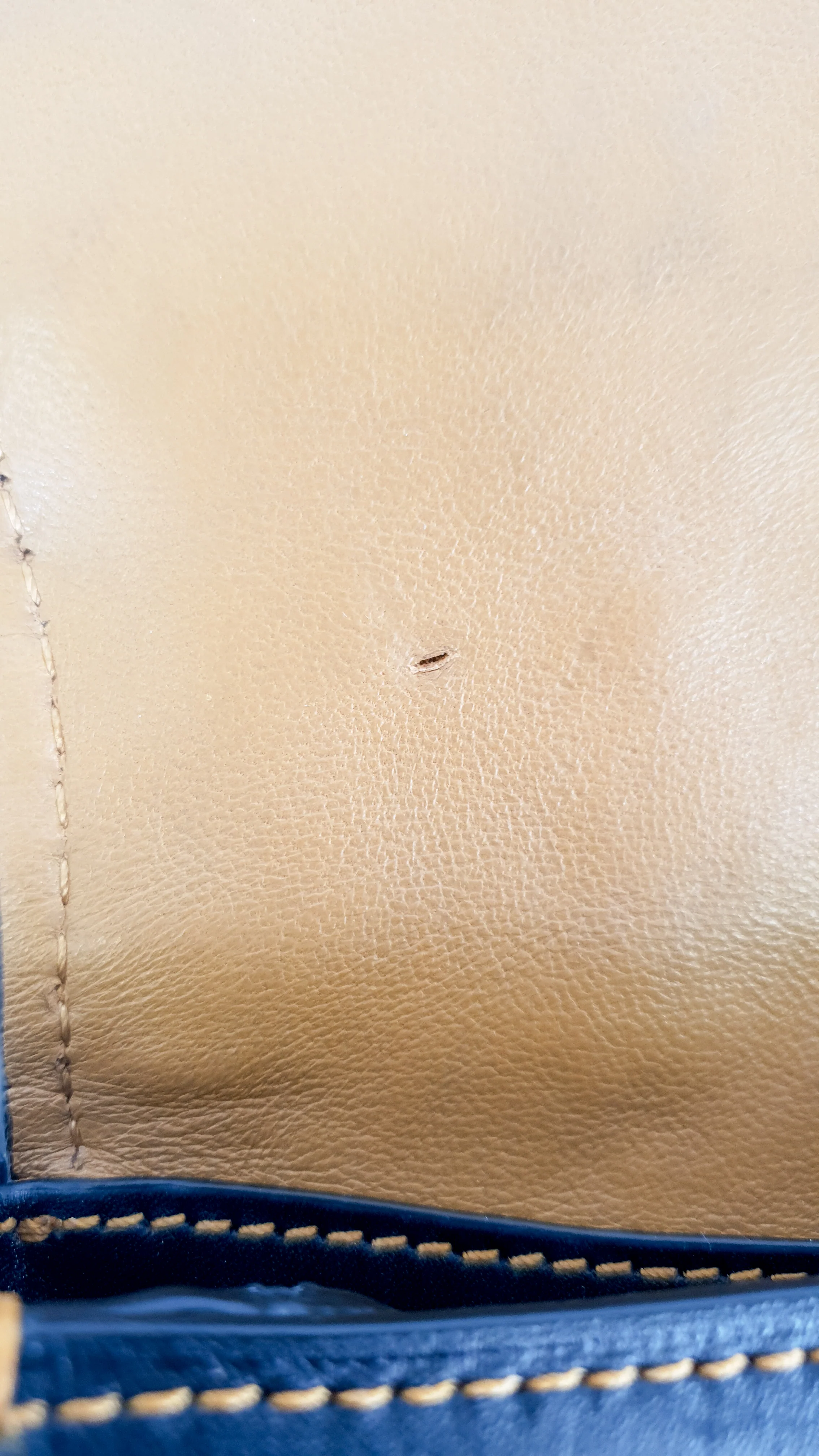Coach 1941 Saddle 17 Bag with Western Rivets in Black - Crossbody Flap Bag - Coach F56564 - Image 10