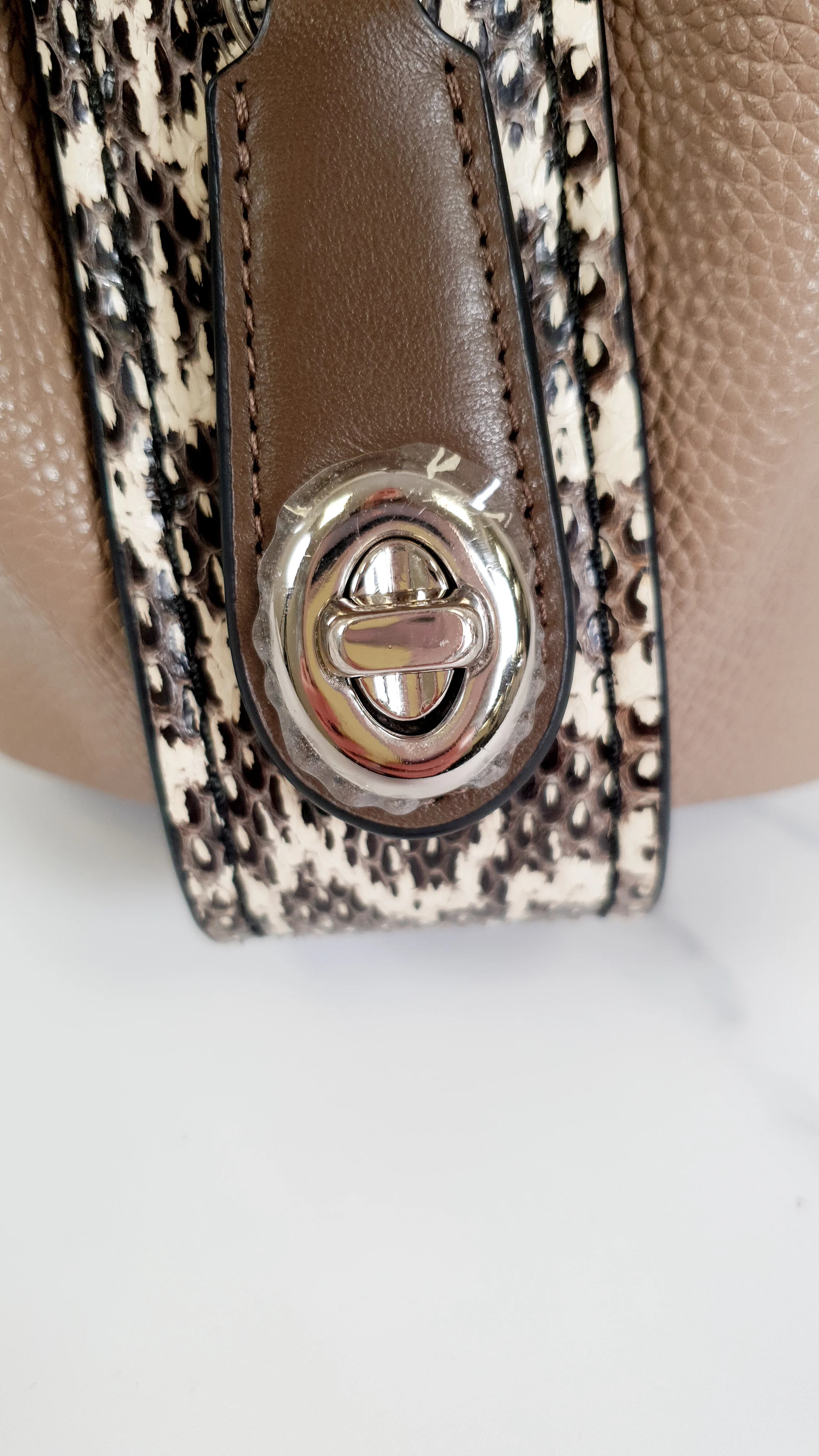 Coach Edie 31 in Stone Taupe with Genuine Snakeskin Colorblock Pebble Leather - Shoulder Bag Coach 57670 - Image 14