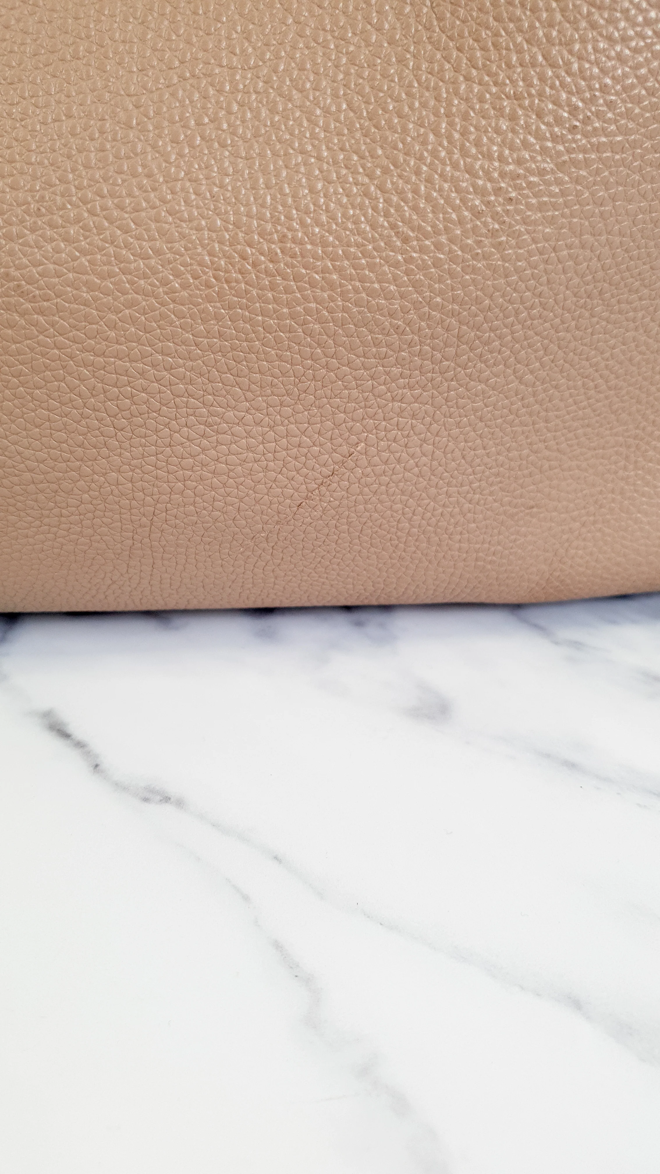 Coach Edie 31 in Stone Taupe with Genuine Snakeskin Colorblock Pebble Leather - Shoulder Bag Coach 57670 - Image 9