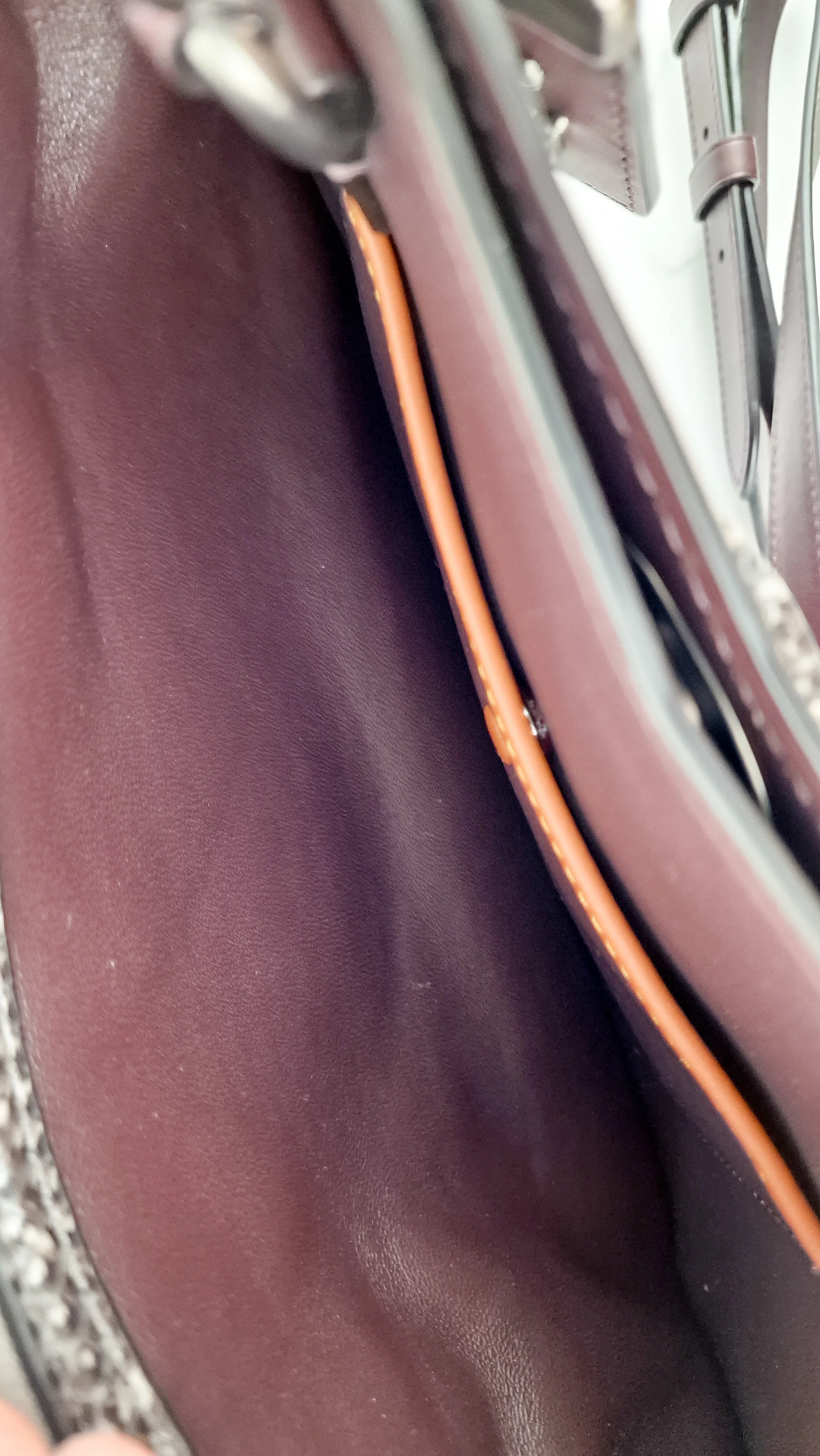Coach Mason Carryall in Oxblood Smooth Leather with Snakeskin C Turnlock - Coach 38717 - Image 20