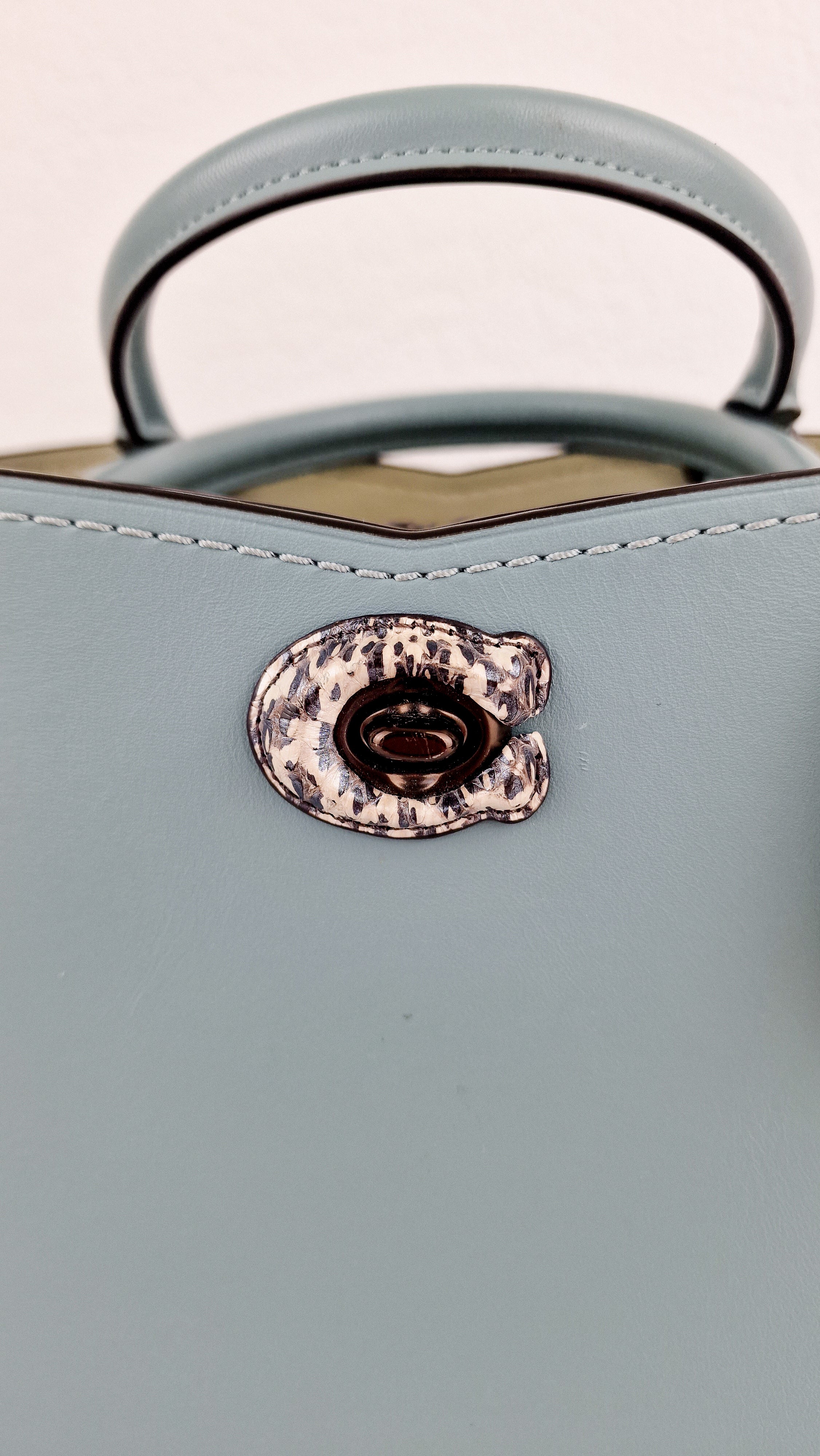 Coach Mason Carryall in Sage Pale Blue Green Smooth Leather Snakeskin Handbag - Coach 38717 - Image 4
