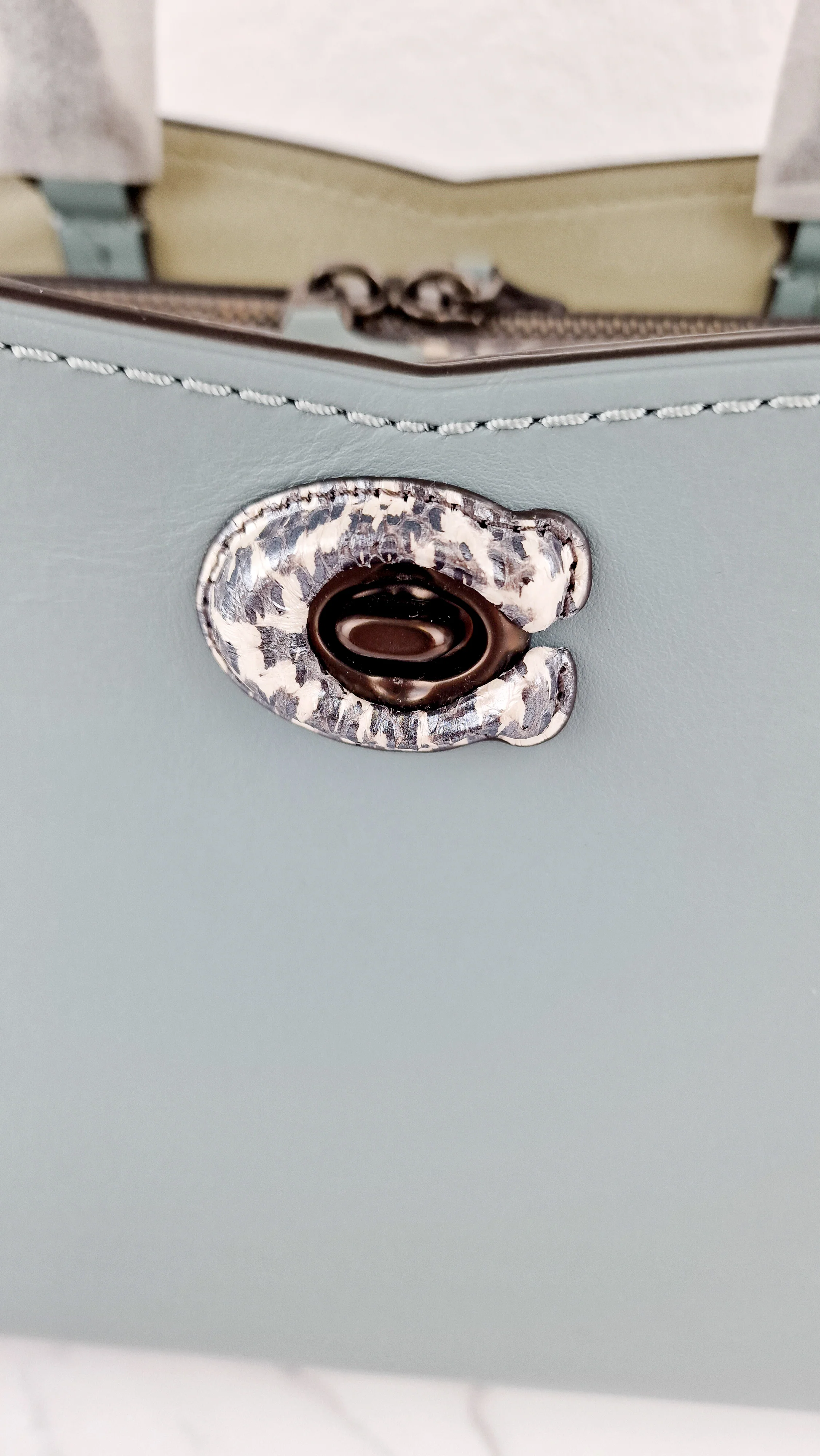Coach Mason Carryall in Sage Pale Blue Green Smooth Leather & Snakeskin - Coach 38717 - Image 2