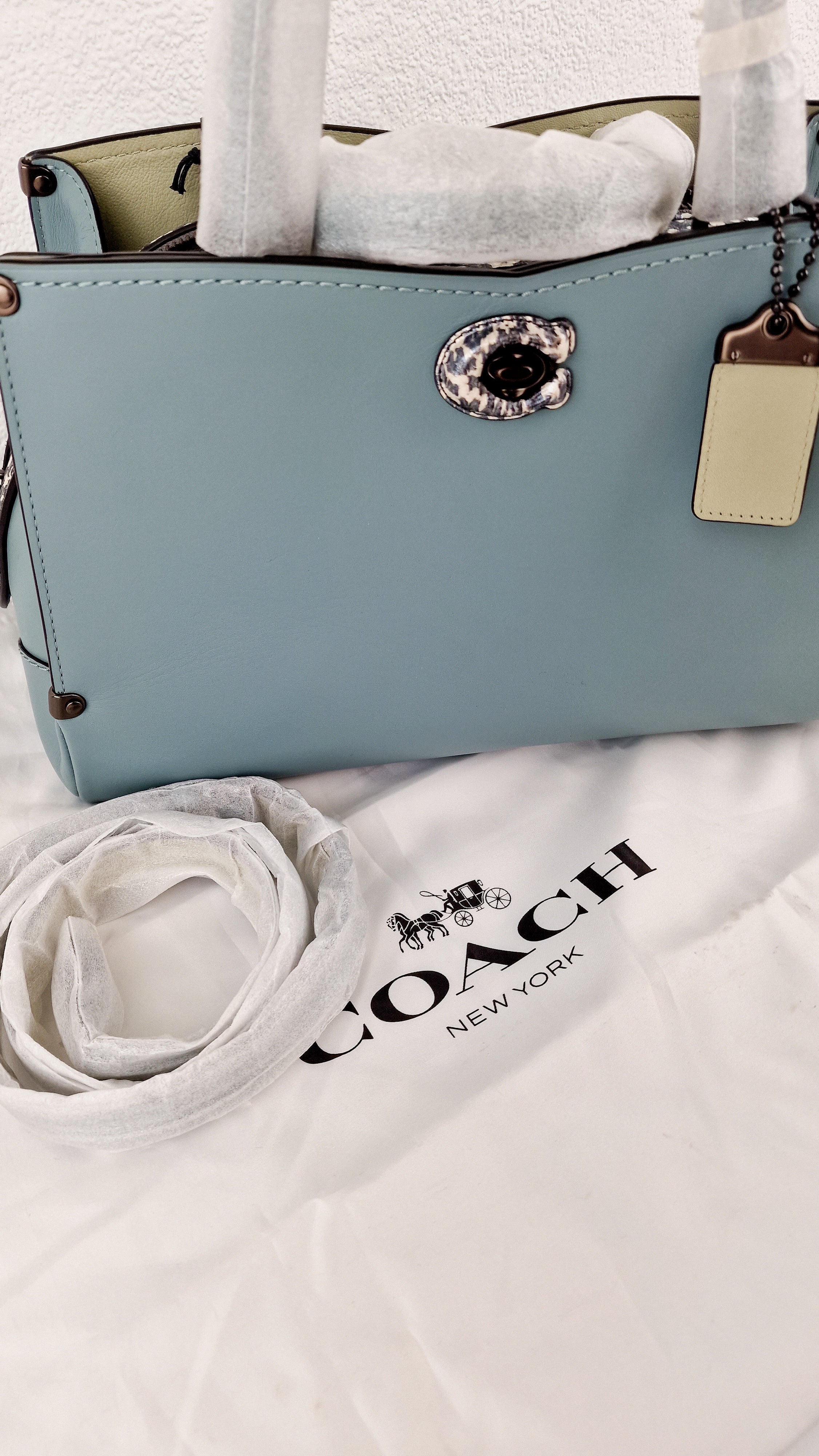 Coach Mason Carryall in Sage Pale Blue Green Smooth Leather & Snakeskin - Coach 38717 - Image 20