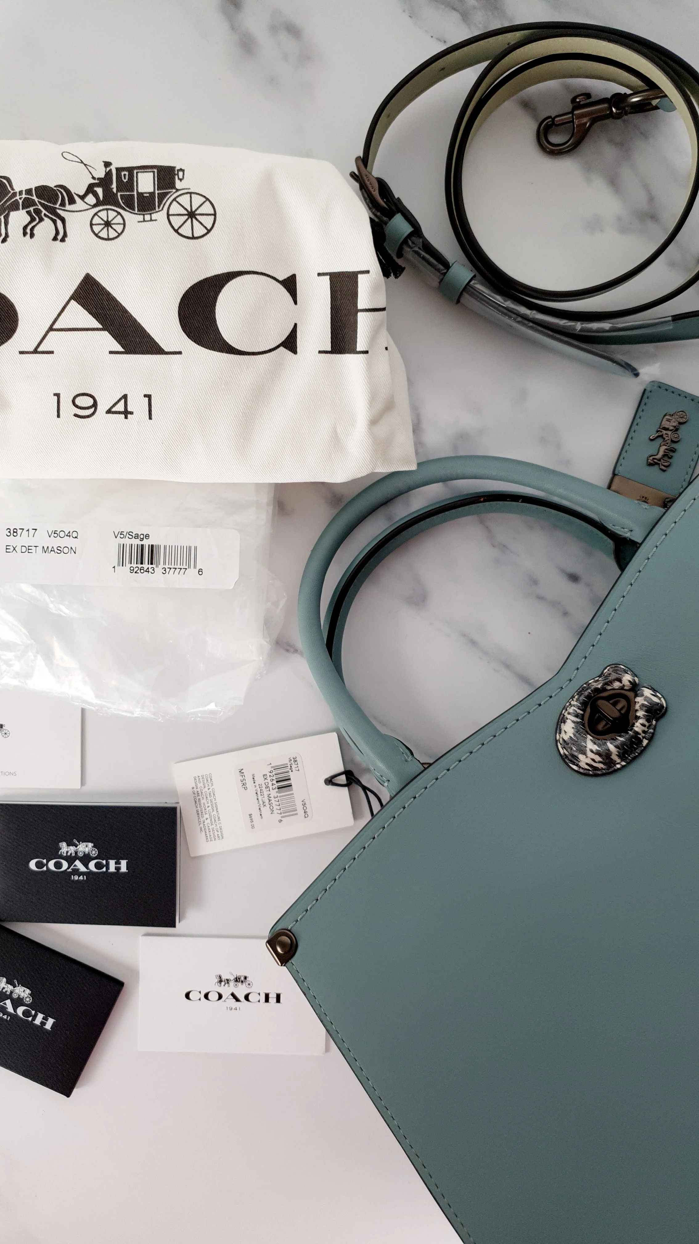 Coach Mason Carryall in Sage Pale Blue Green Smooth Leather with Snakeskin - Coach 38717 - Image 19