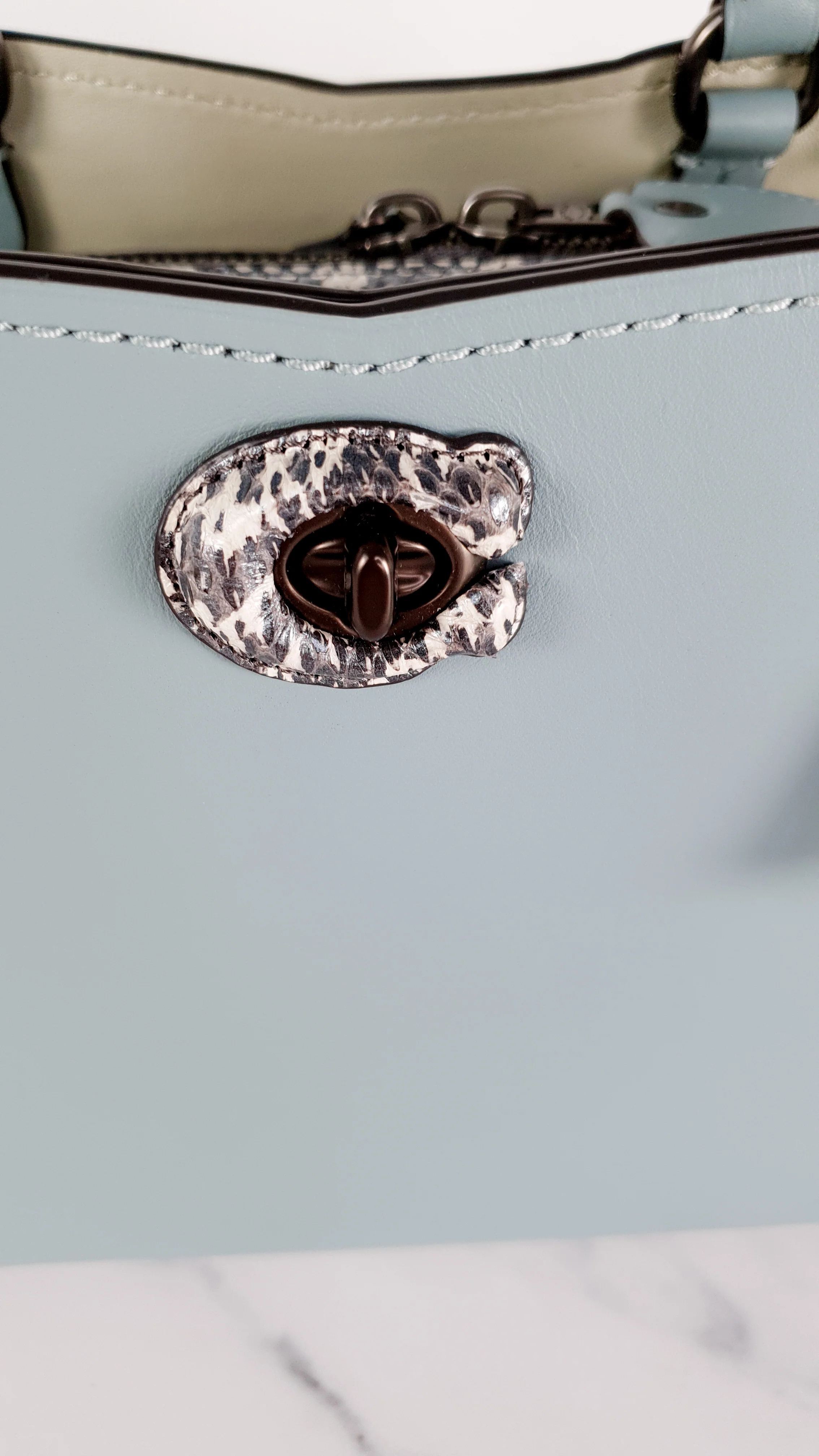 Coach Mason Carryall in Sage Pale Blue Green Smooth Leather with Snakeskin - Coach 38717 - Image 5