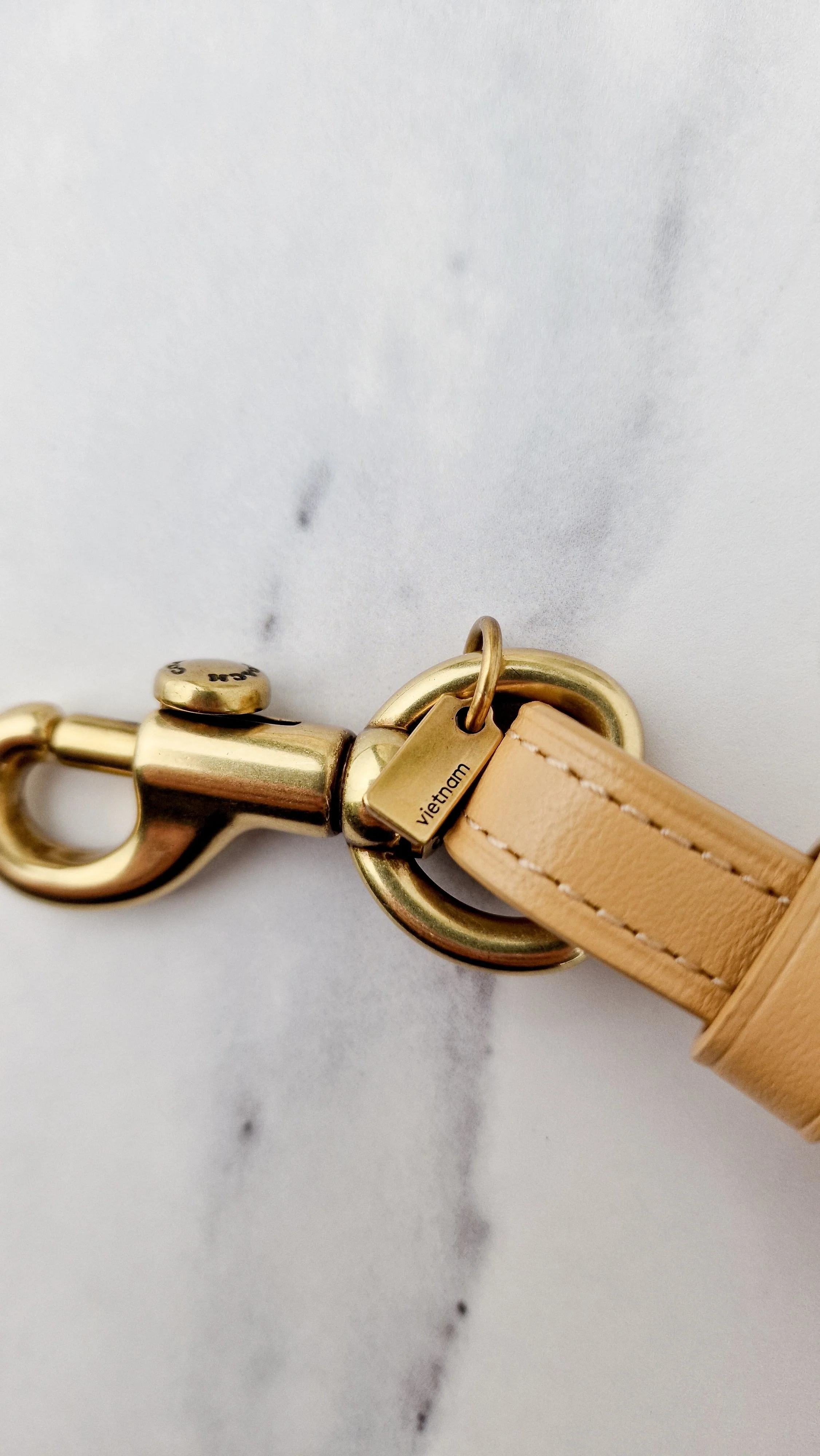 Coach Novelty Strap with Wave Patchwork and Snakeskin Detail Ivory Colorblock - Coach 68587 - Image 7