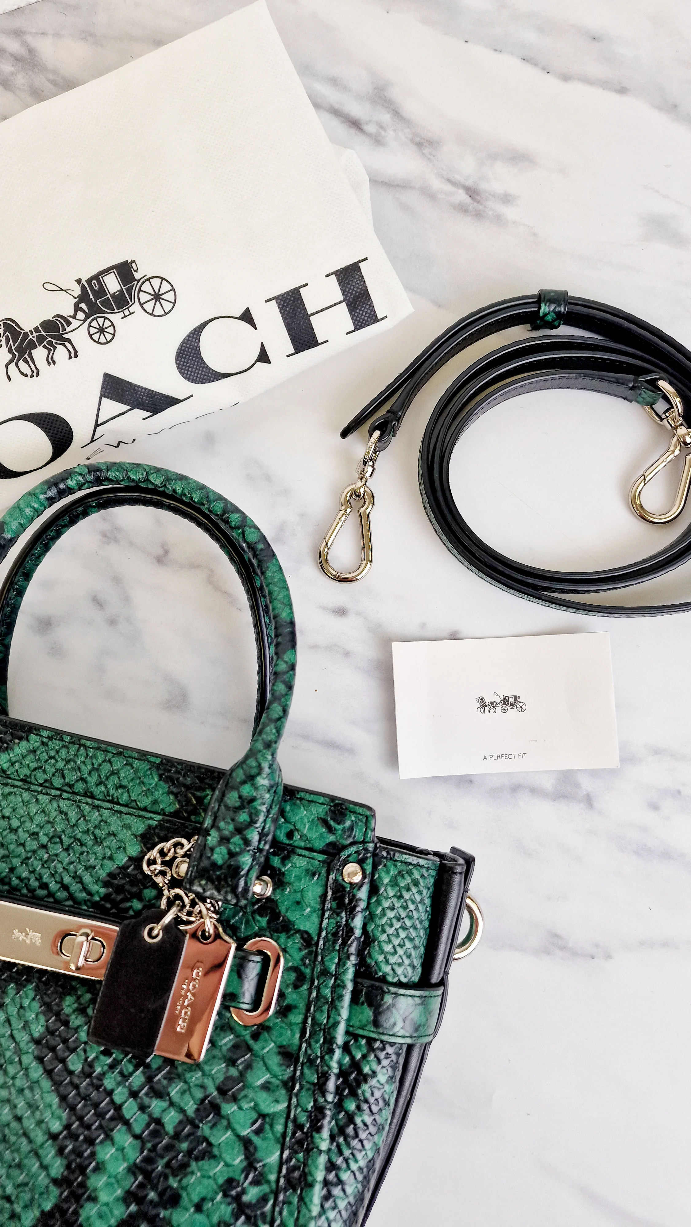 Coach Swagger 21 in Green & Black Snake Print - Handbag Crossbody Bag - Coach 38360 - Image 17